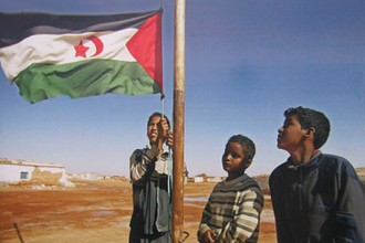 Koacinaute : Grande déprime dans les rangs algéro-polisariens
